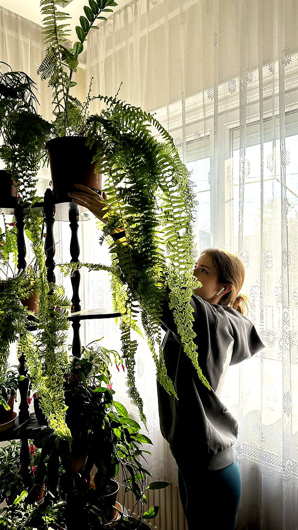 mira.0004 image ~ Altpins