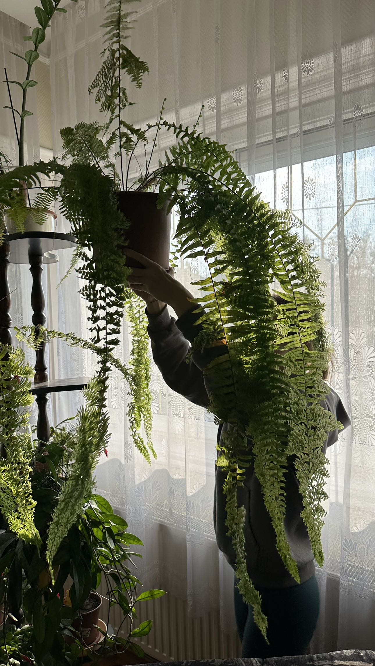 mira.0004 snapchat image archive image