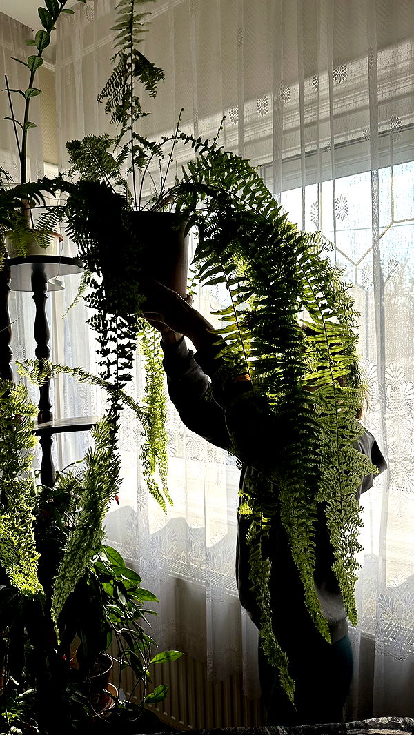 mira.0004 image ~ Altpins