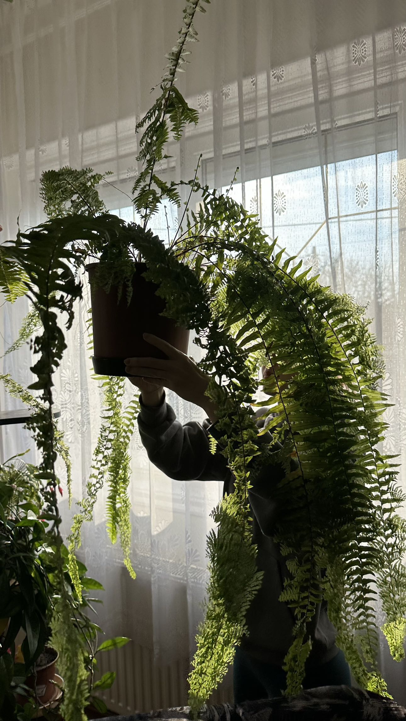 mira.0004 snapchat image archive image