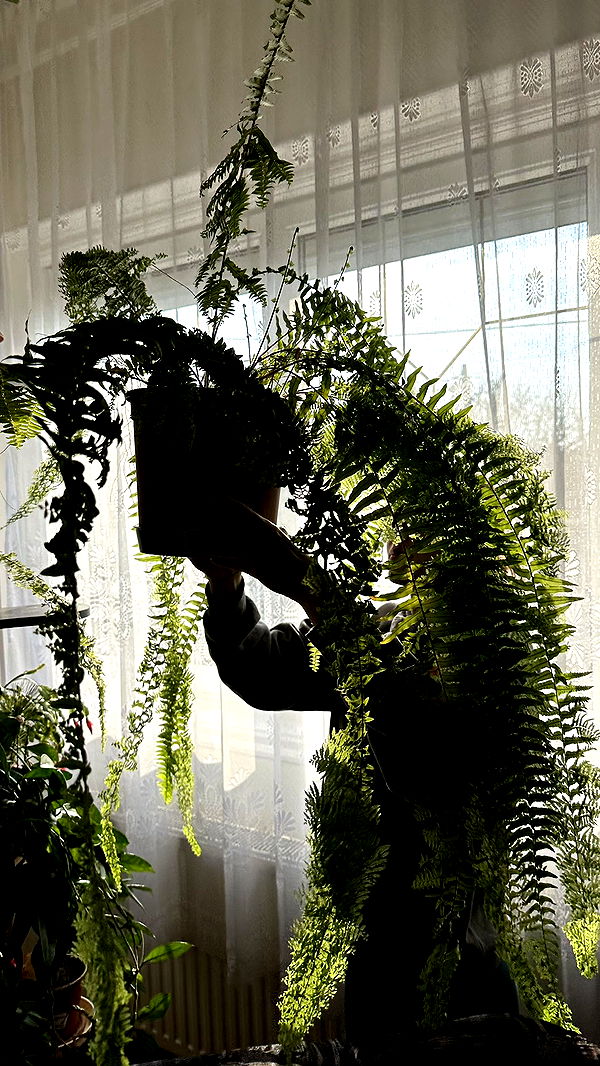 mira.0004 image ~ Altpins