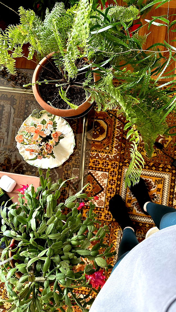 mira.0004 image ~ Altpins