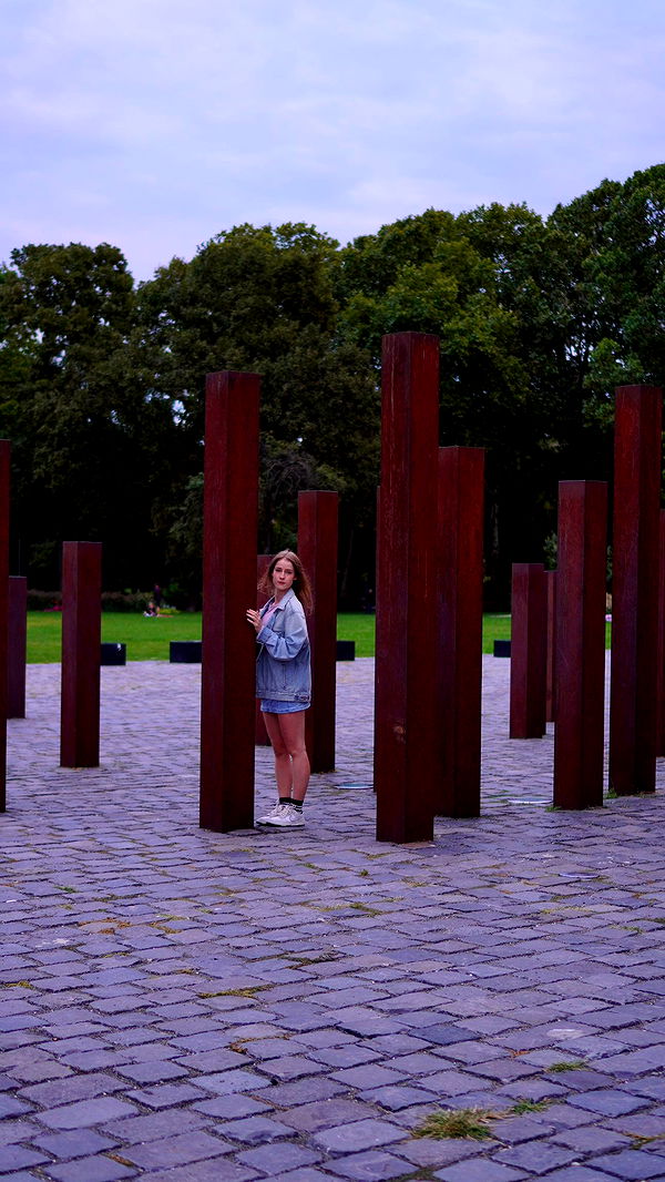 mira.0004 image ~ Altpins