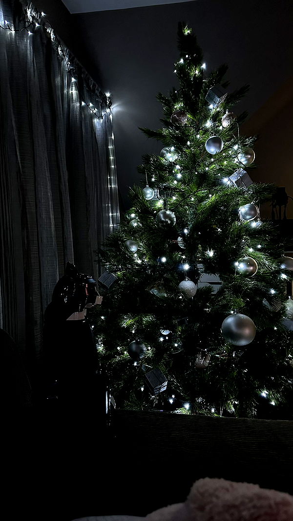 mira.0004 image ~ Altpins