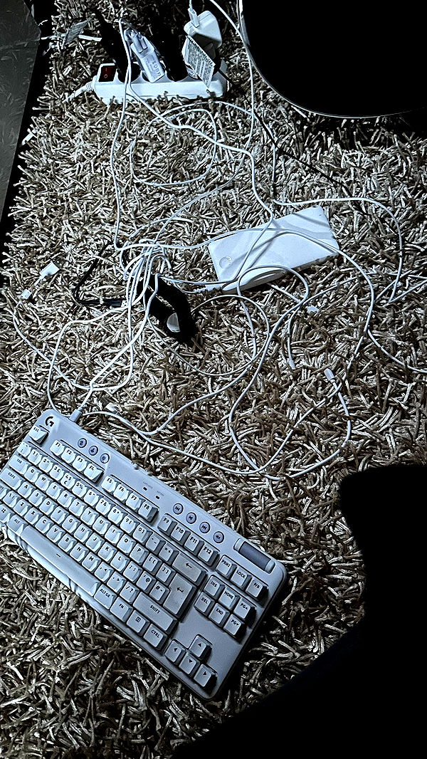 mira.0004 image ~ Altpins