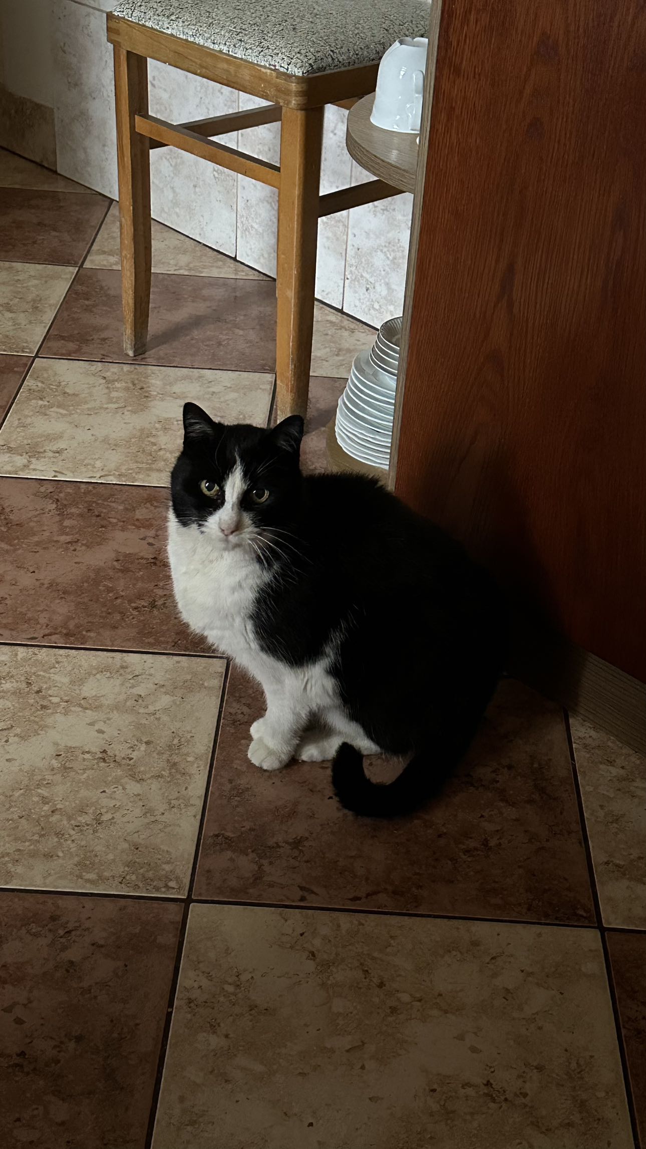 mira.0004 snapchat image archive image