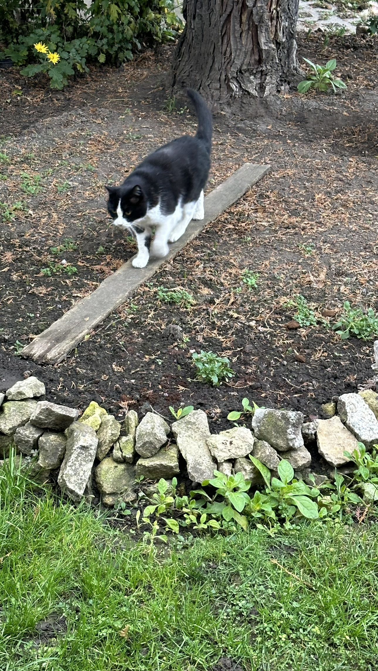 mira.0004 snapchat image archive image