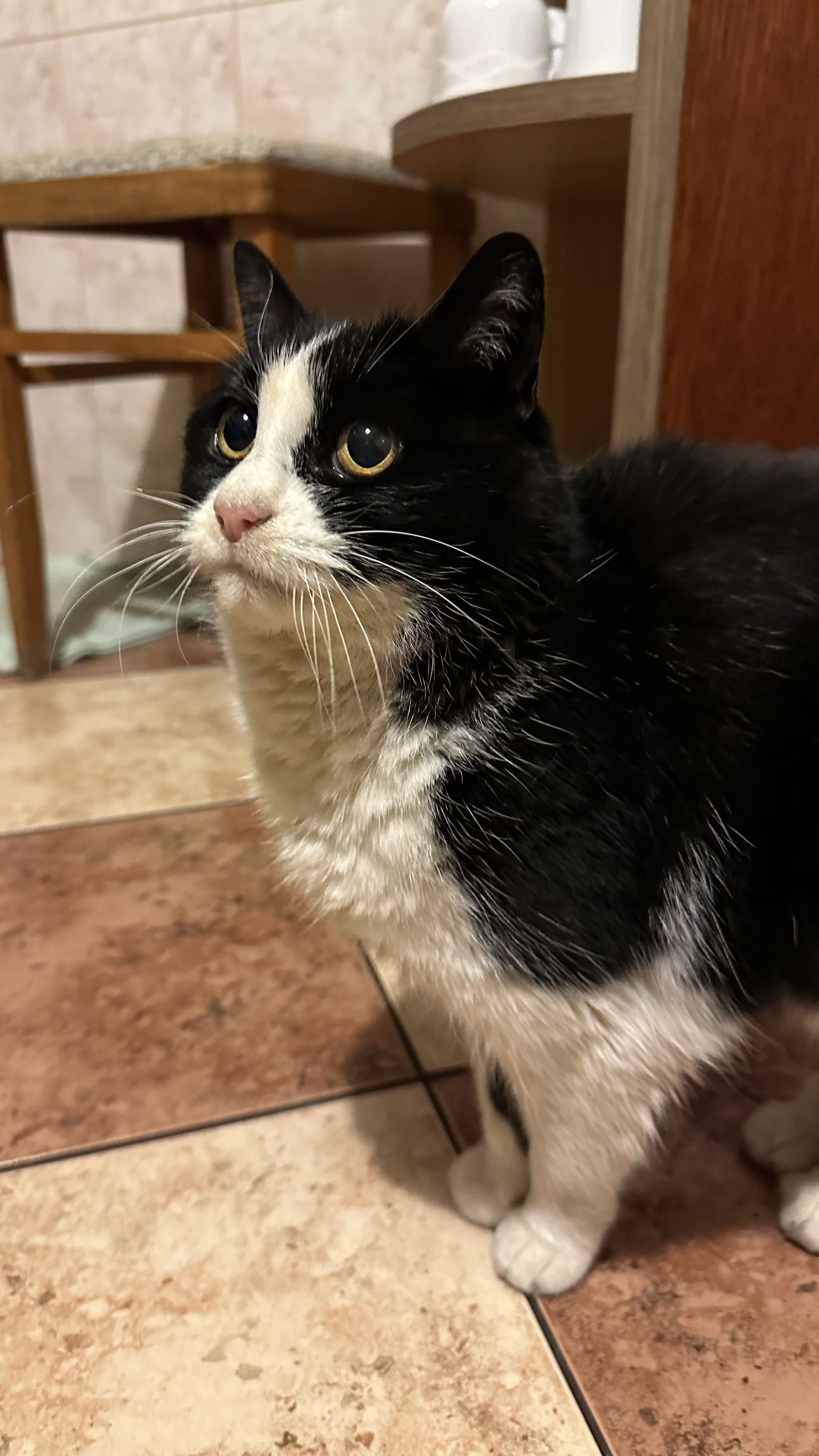 mira.0004 snapchat image archive image