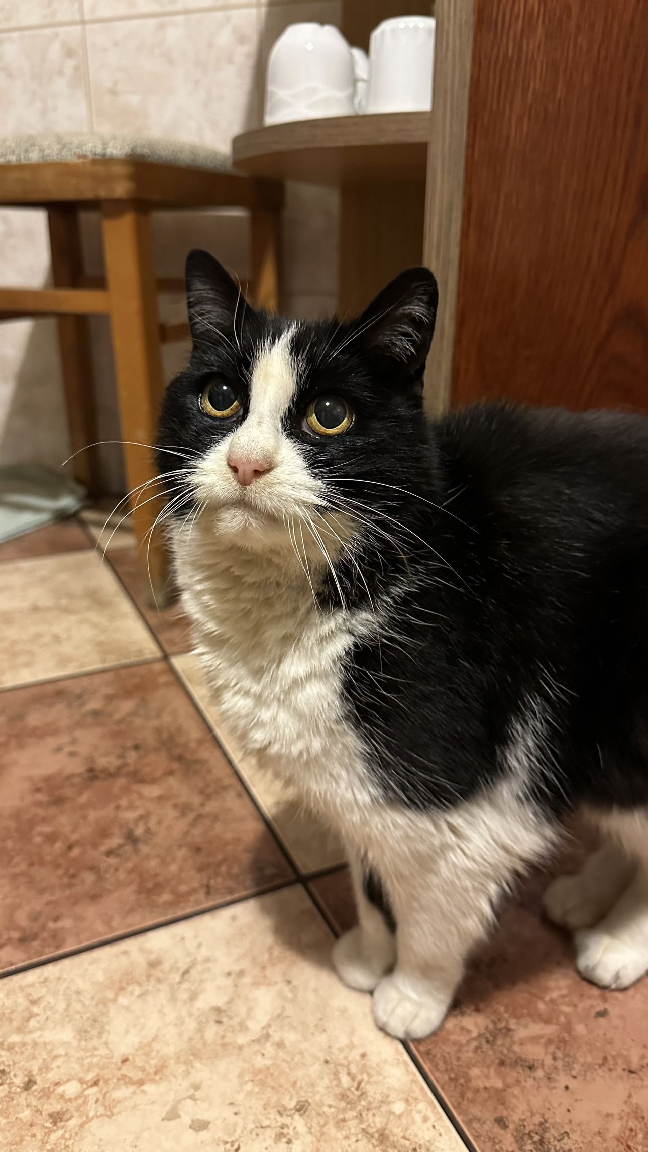 mira.0004 snapchat image archive image