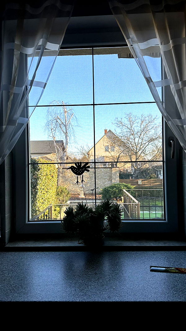 mira.0004 image ~ Altpins