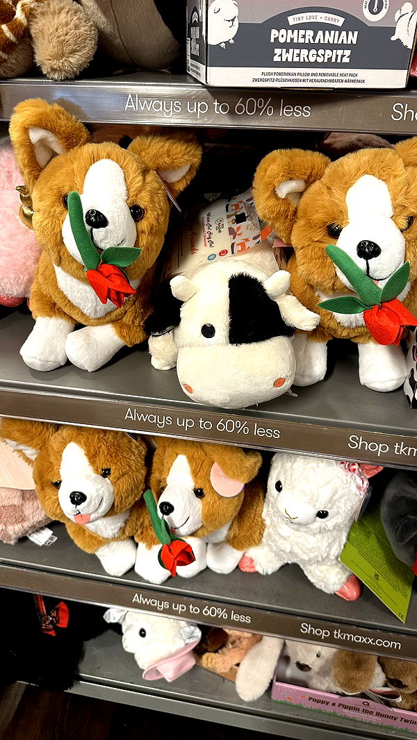 mira.0004 image ~ Altpins