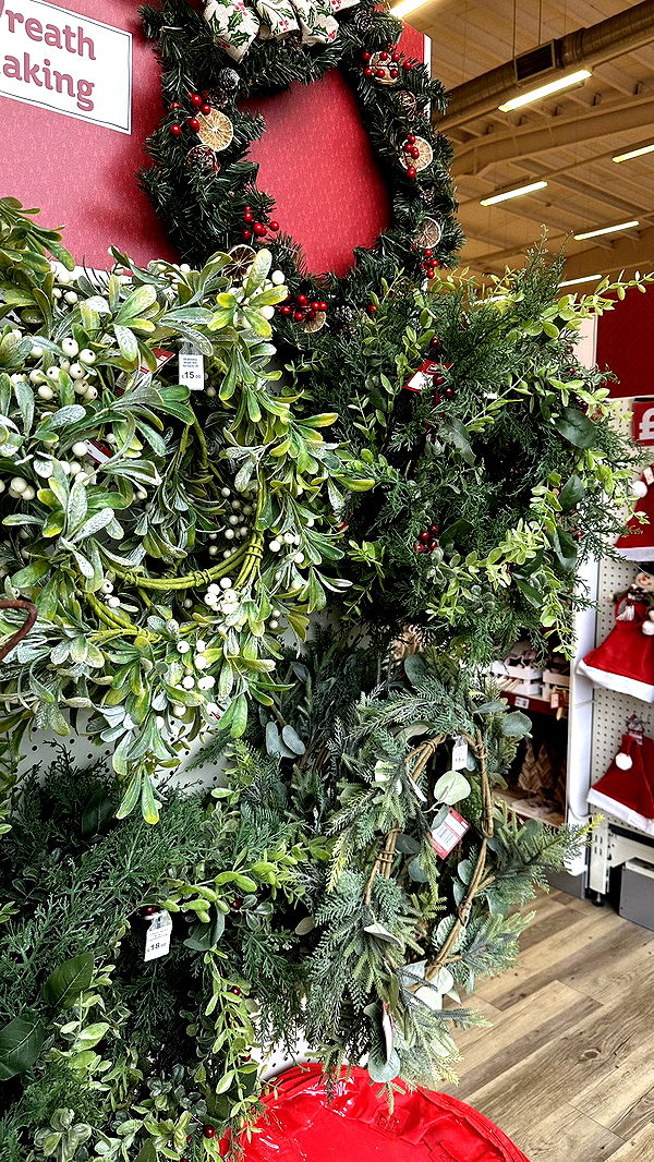 mira.0004 image ~ Altpins