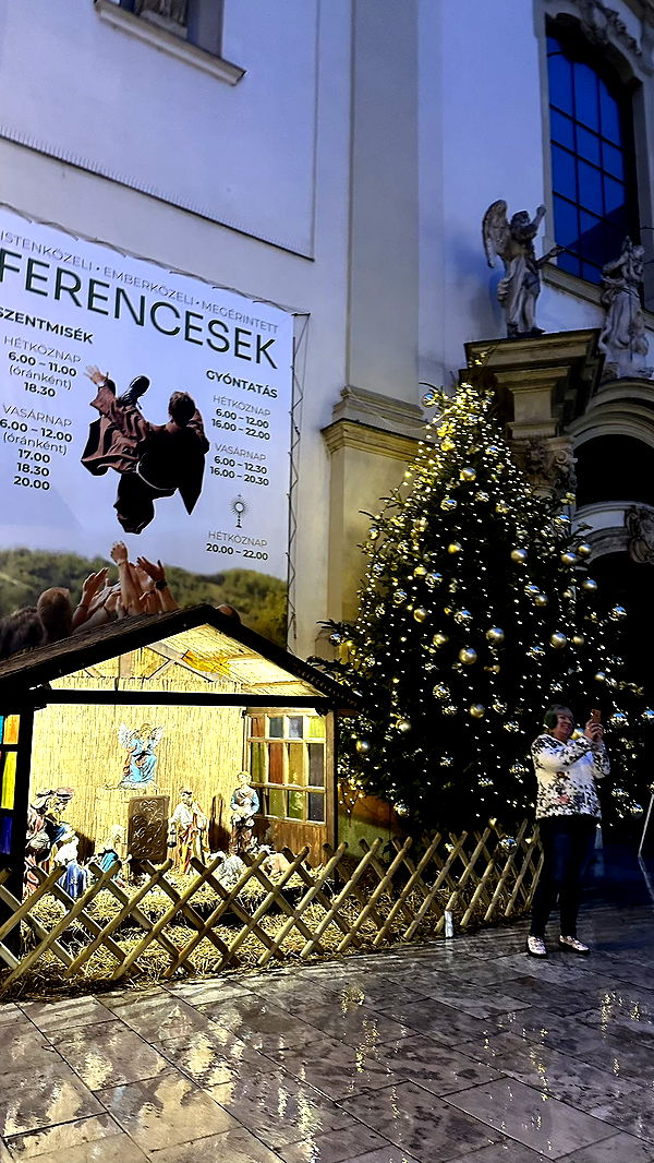 mira.0004 image ~ Altpins