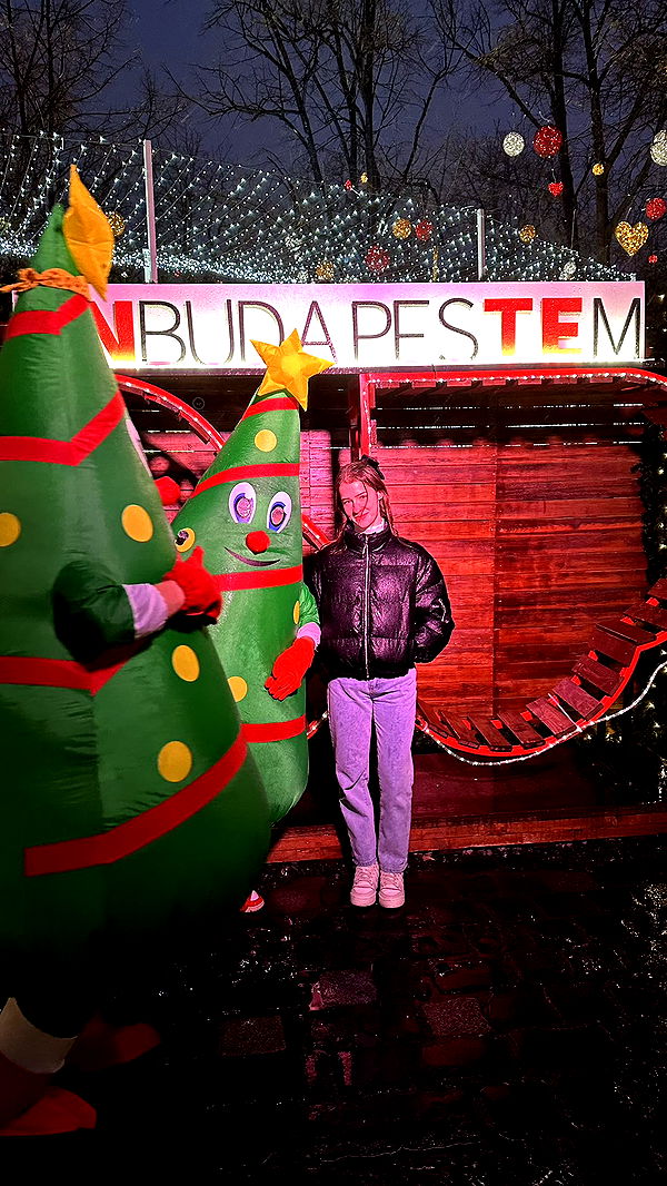 mira.0004 image ~ Altpins