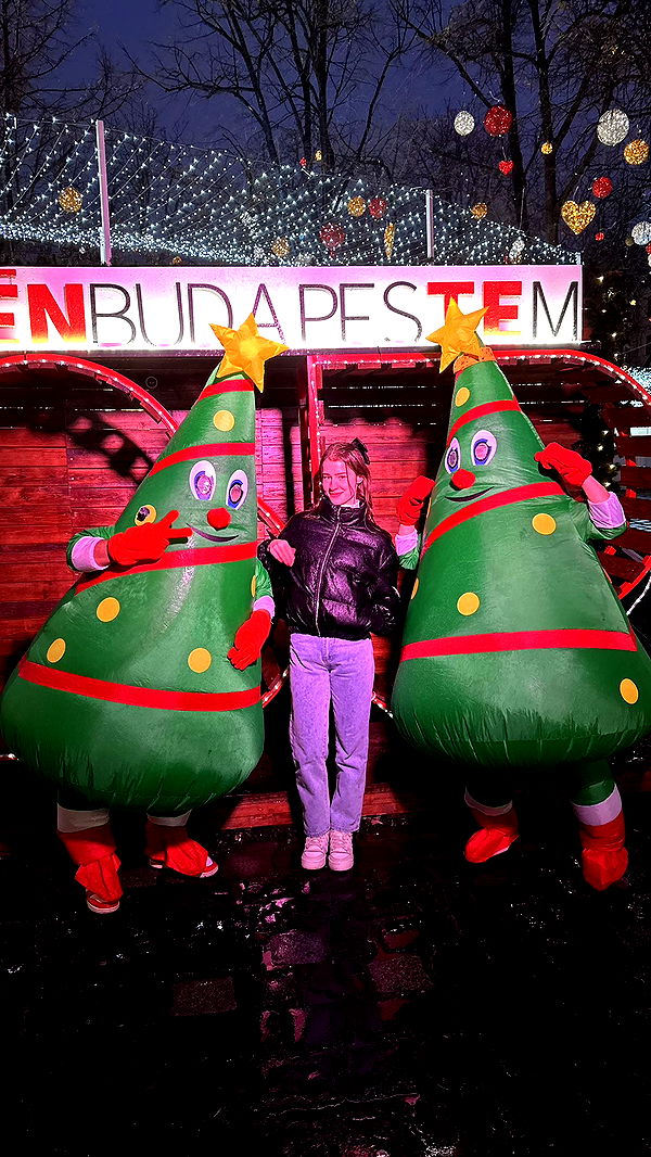 mira.0004 image ~ Altpins