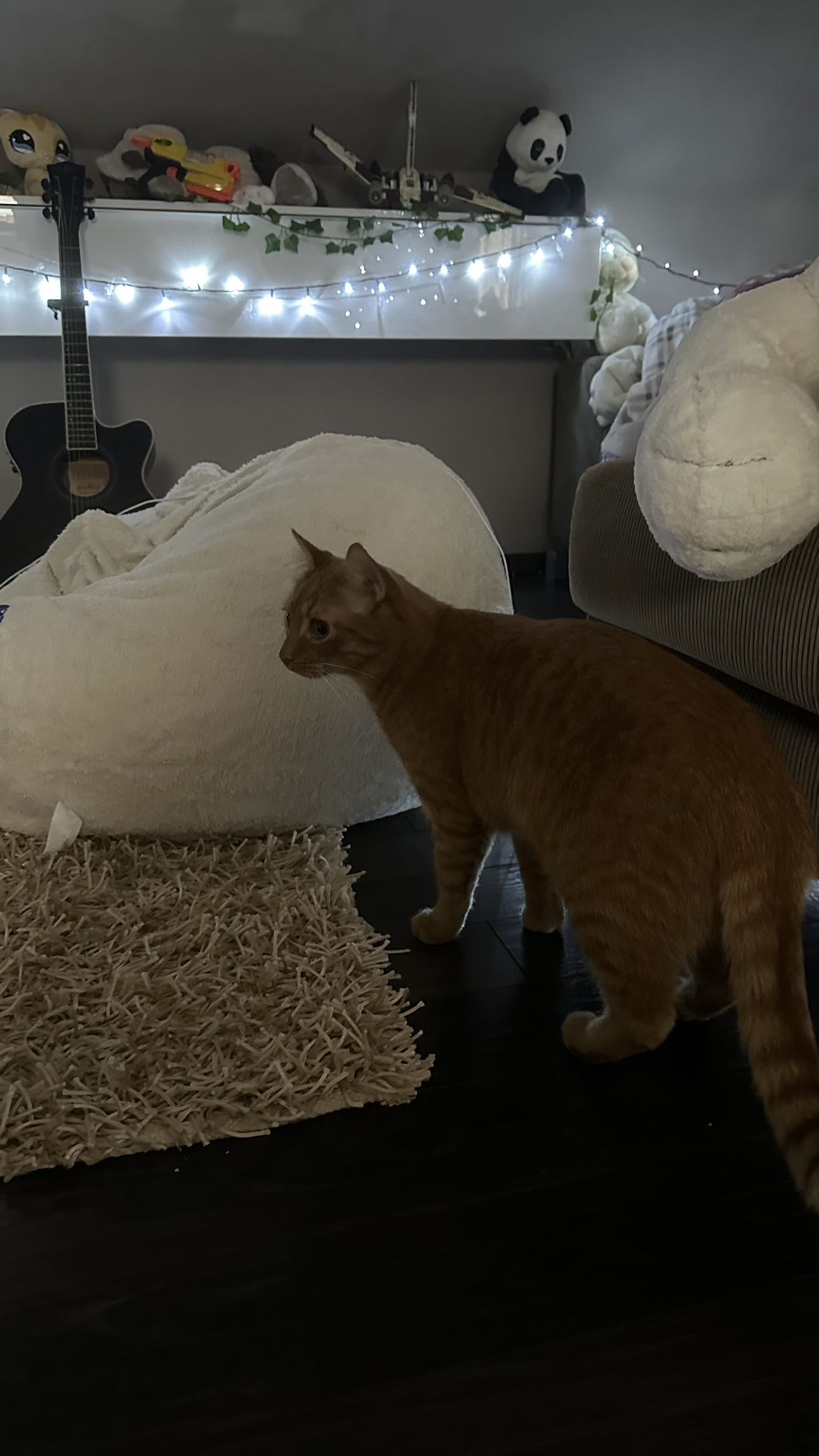 mira.0004 snapchat image archive image