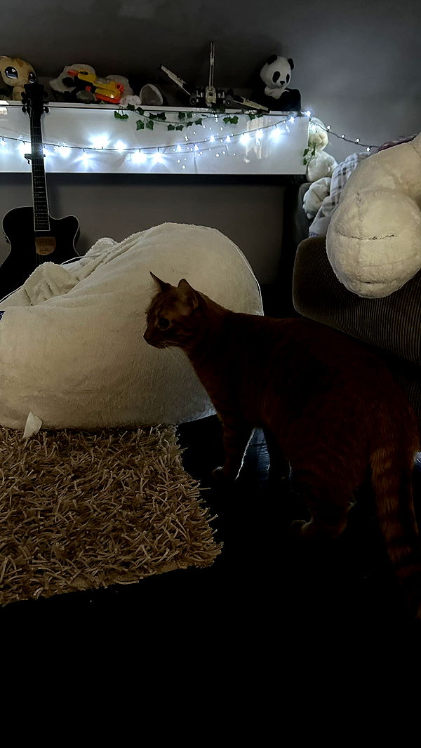 mira.0004 image ~ Altpins