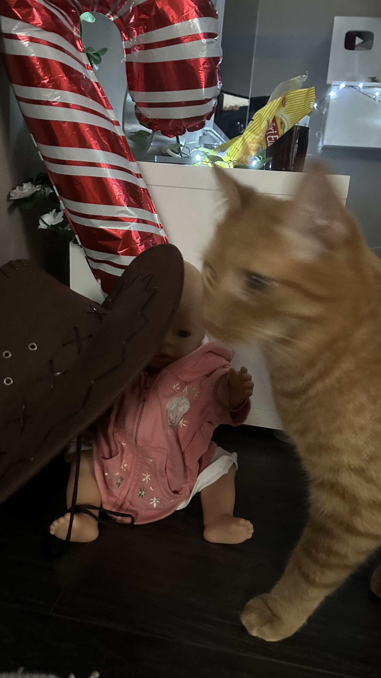 mira.0004 snapchat image archive image