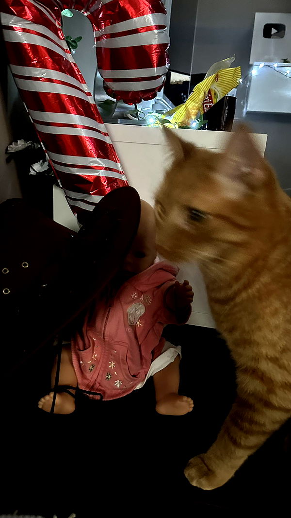 mira.0004 image ~ Altpins