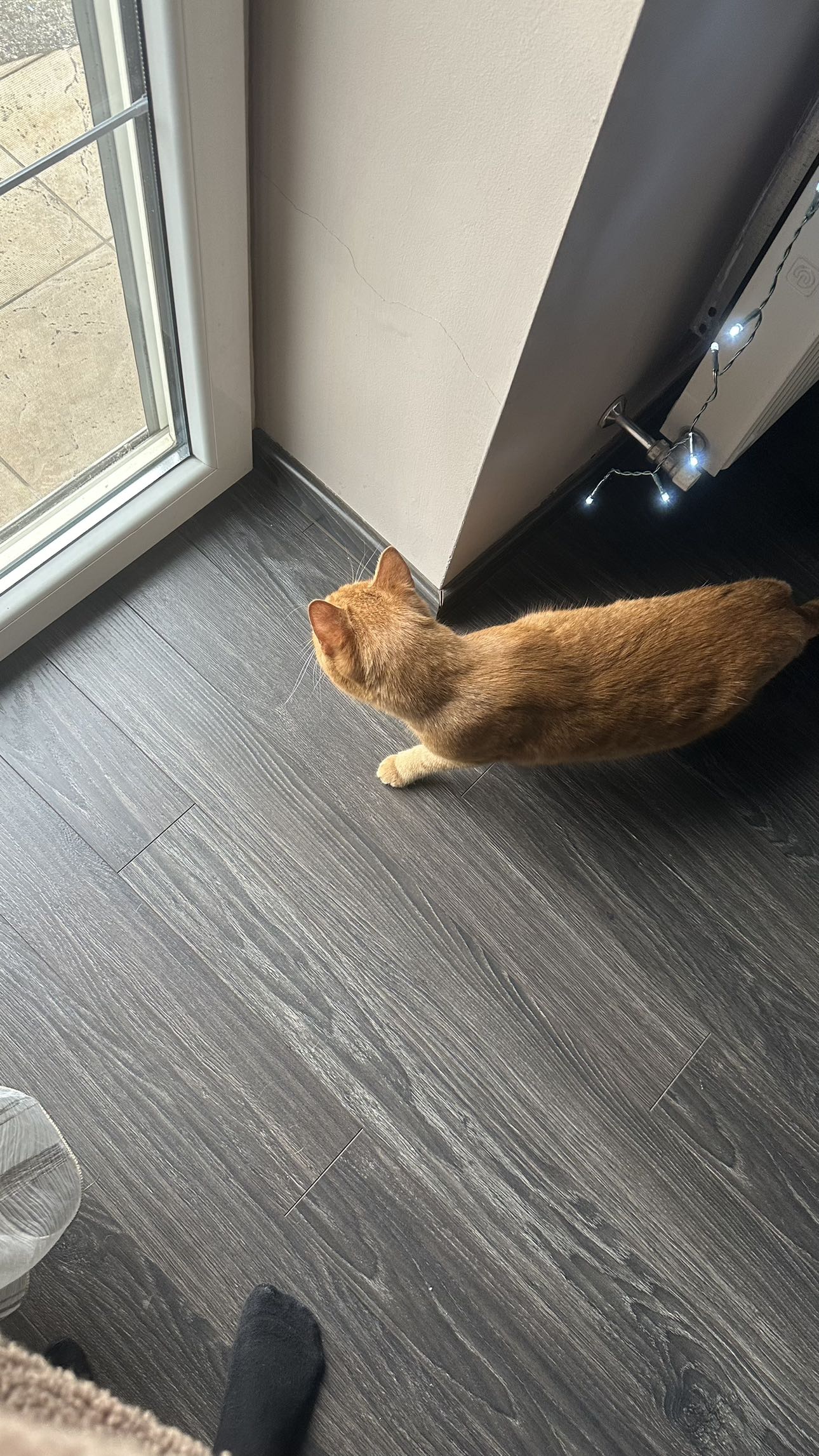 mira.0004 snapchat image archive image