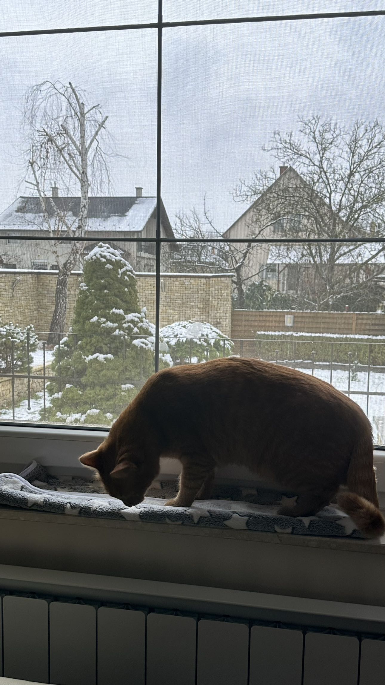 mira.0004 snapchat image archive image