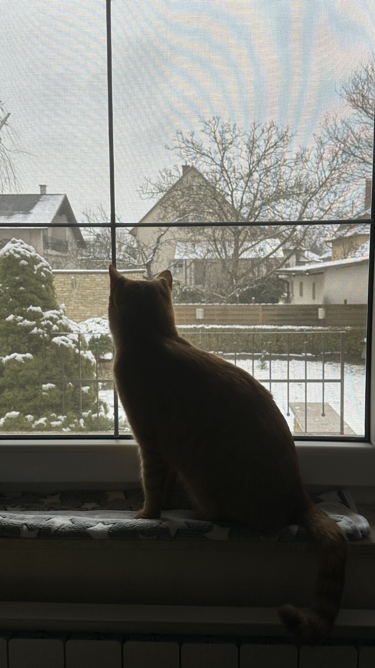 mira.0004 snapchat image archive image