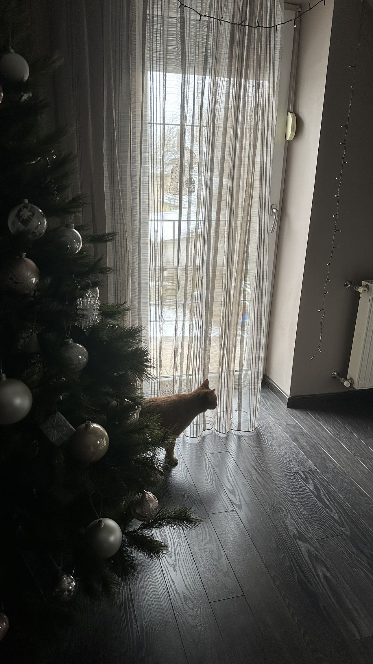 mira.0004 snapchat image archive image