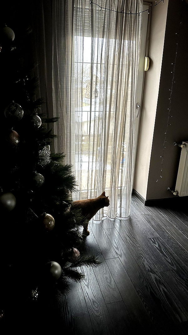 mira.0004 image ~ Altpins