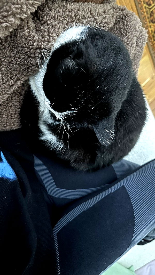 mira.0004 image ~ Altpins