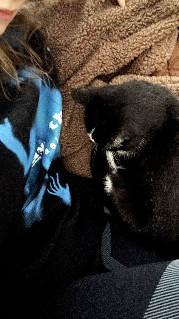 mira.0004 image ~ Altpins