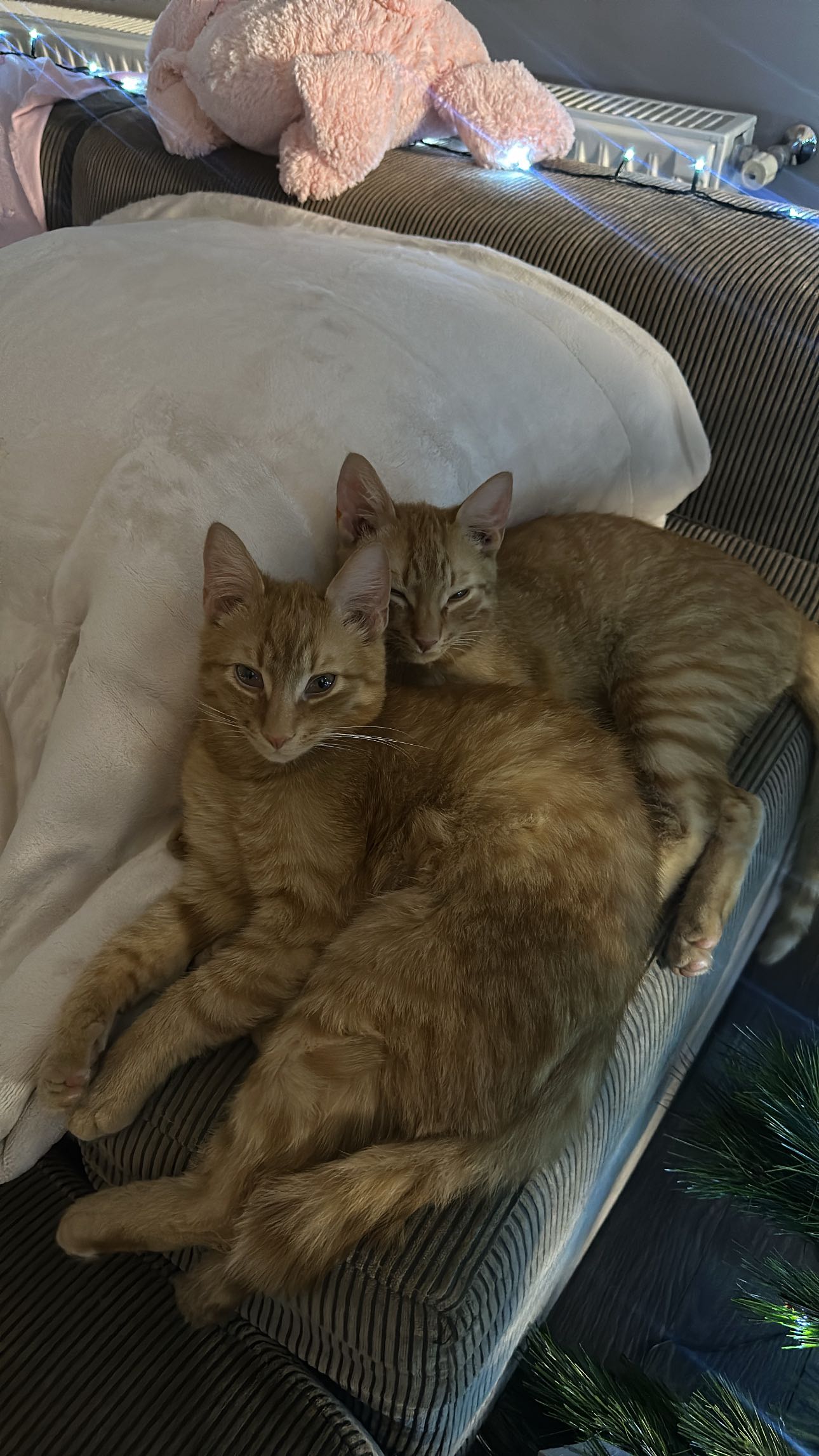 mira.0004 snapchat image archive image