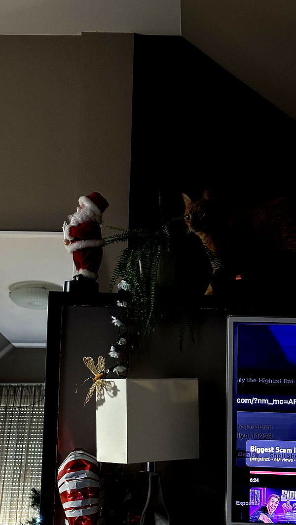 mira.0004 image ~ Altpins