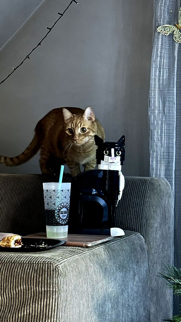 mira.0004 image ~ Altpins