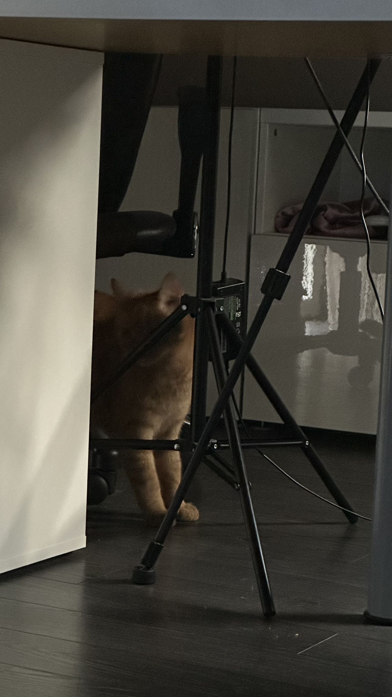 mira.0004 snapchat image archive image