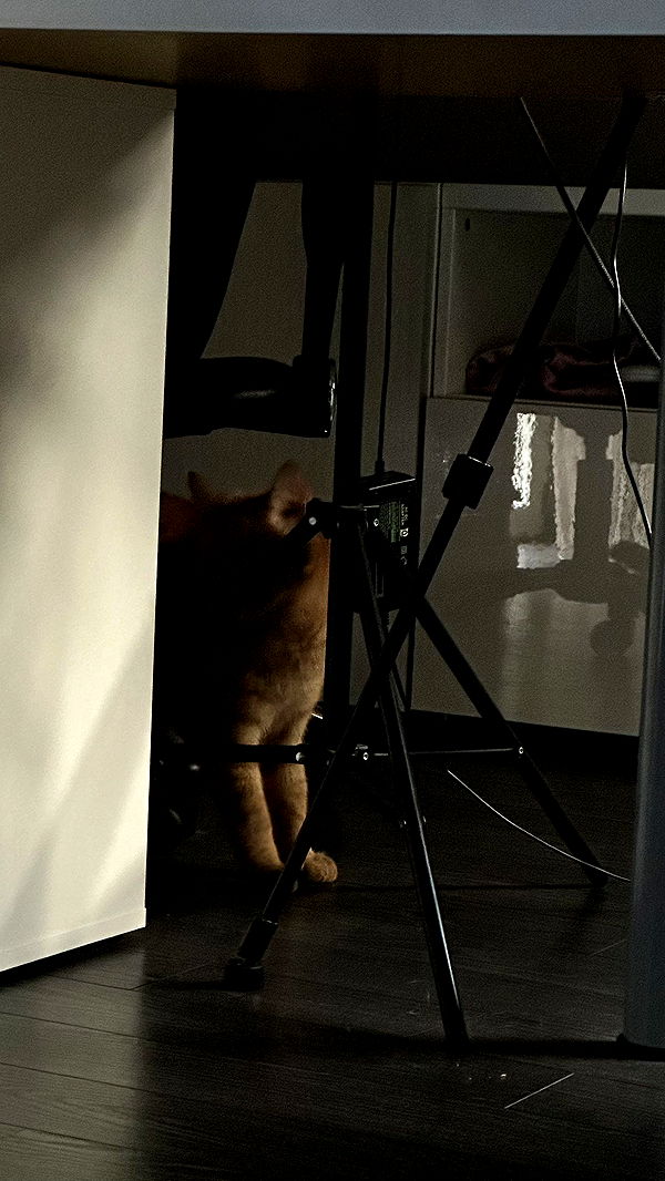 mira.0004 image ~ Altpins