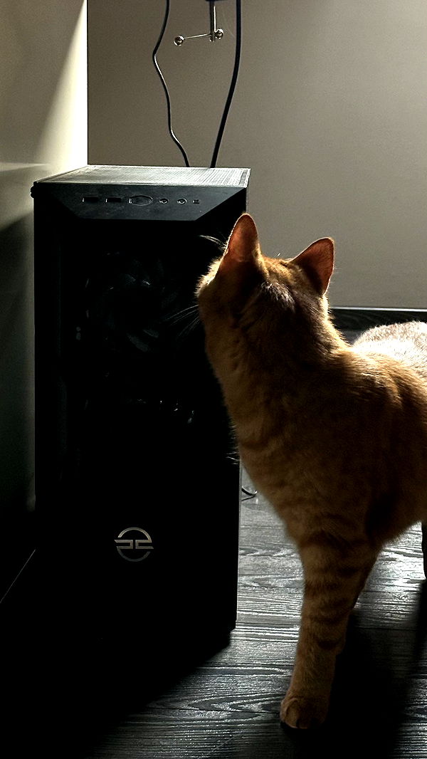 mira.0004 image ~ Altpins