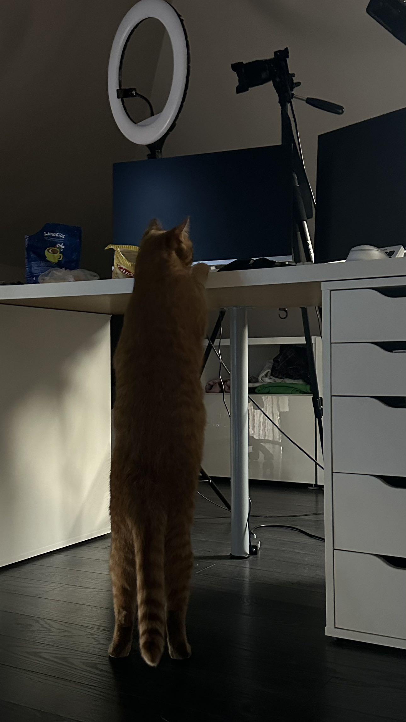 mira.0004 snapchat image archive image