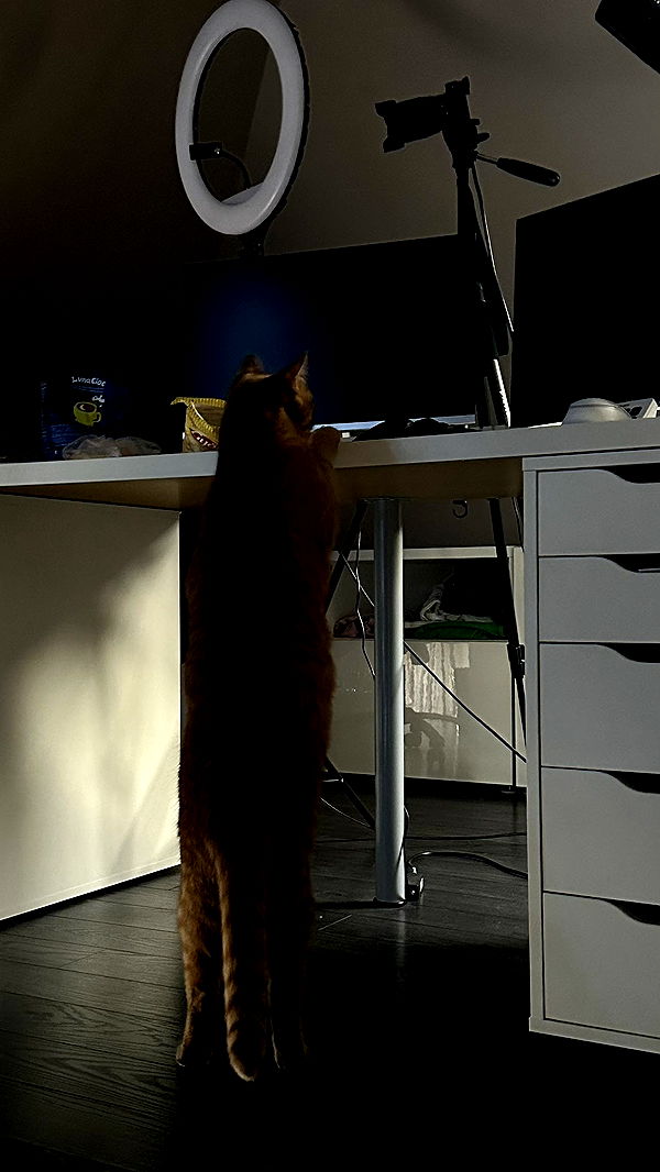 mira.0004 image ~ Altpins