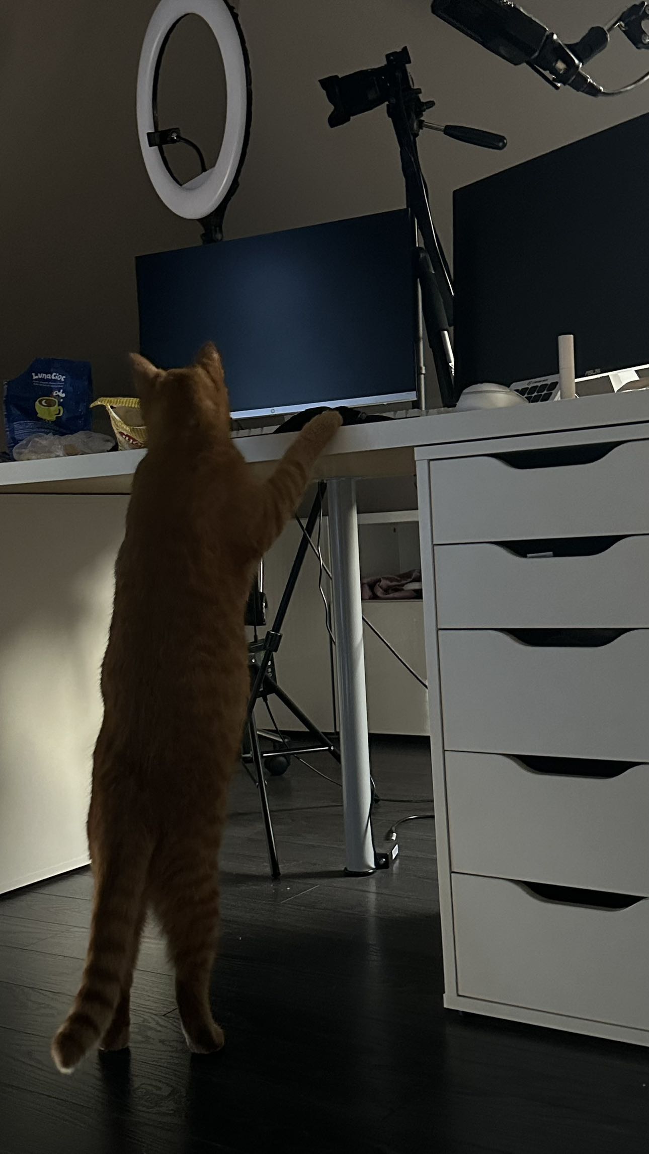 mira.0004 snapchat image archive image