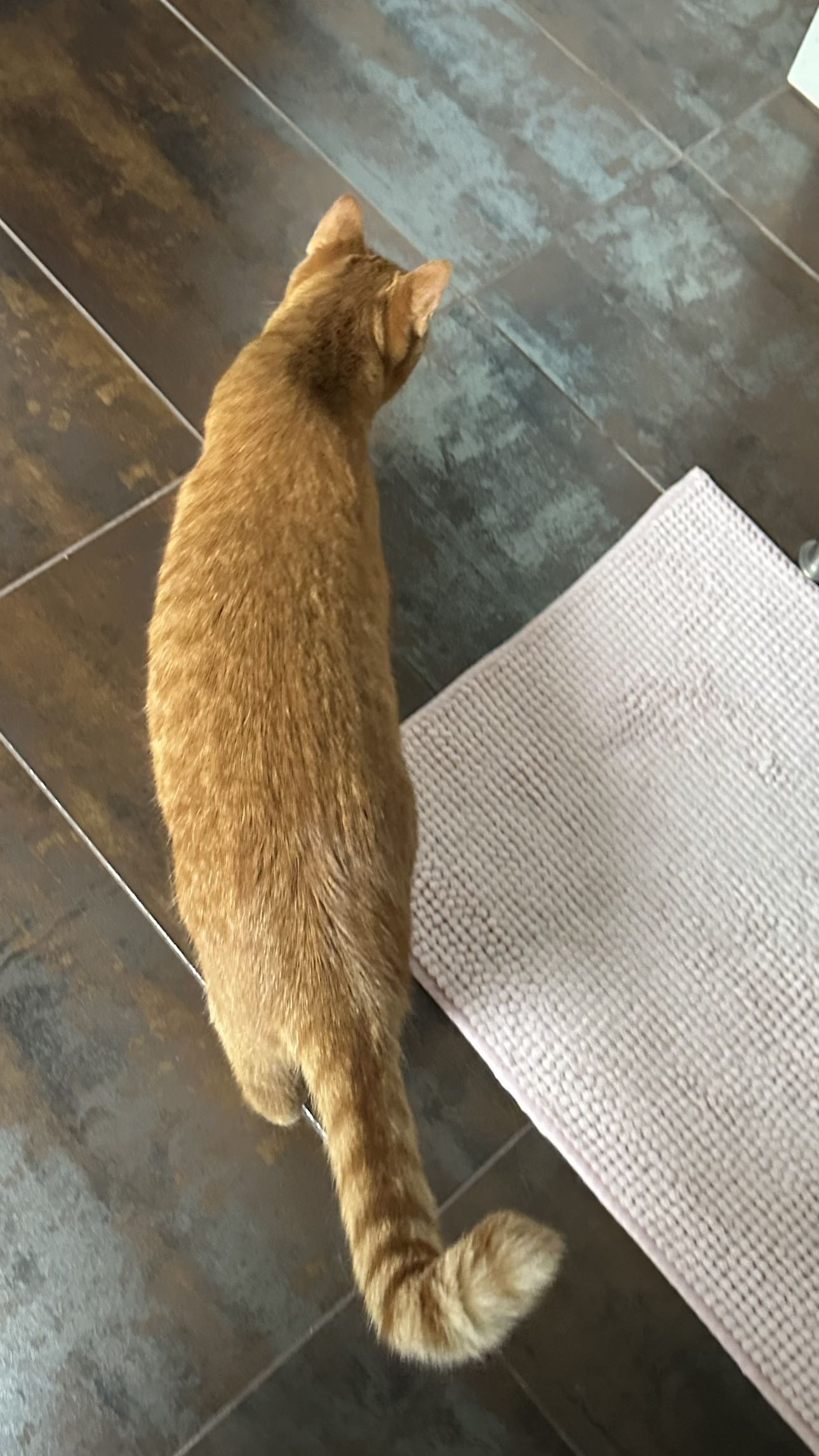 mira.0004 snapchat image archive image