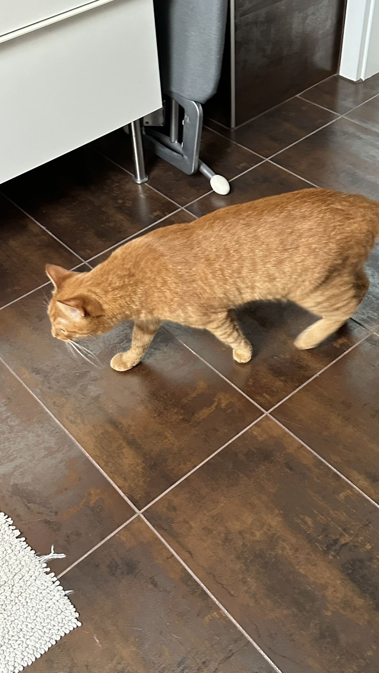 mira.0004 snapchat image archive image