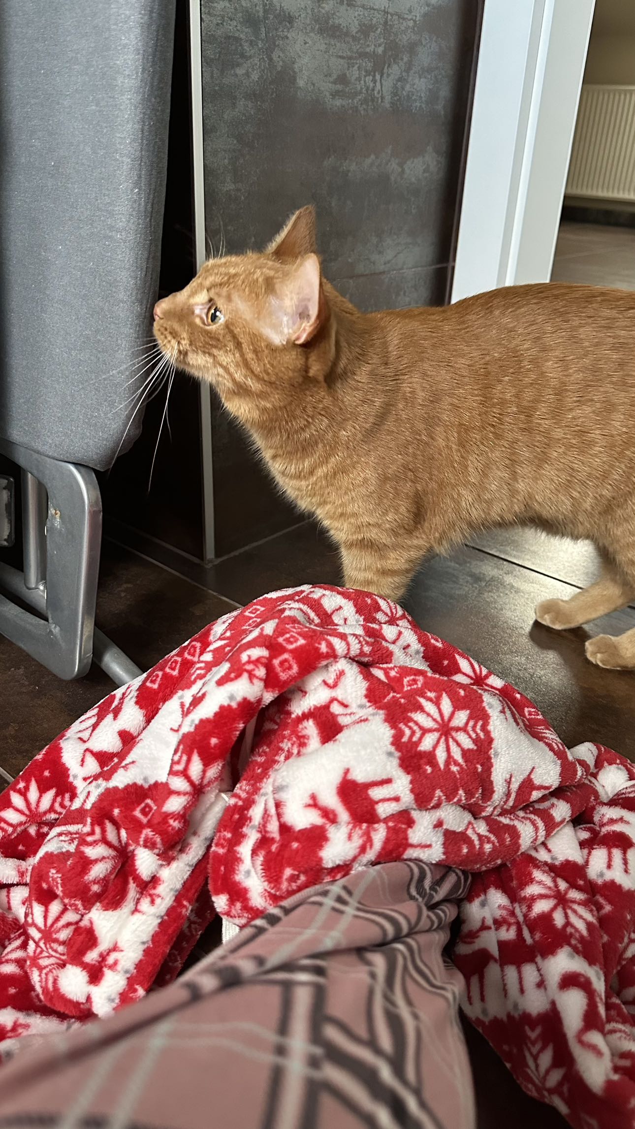 mira.0004 snapchat image archive image