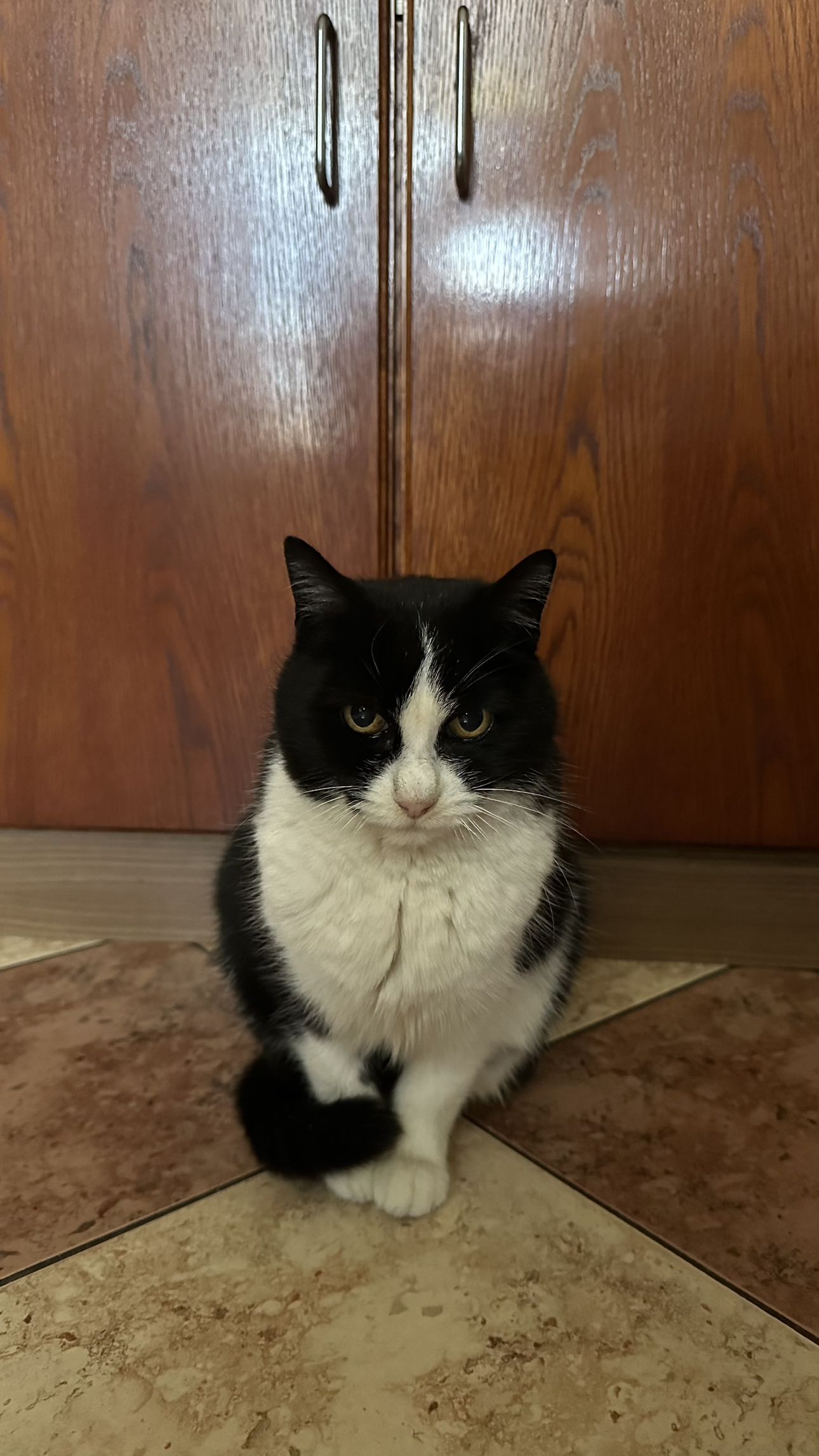 mira.0004 snapchat image archive image