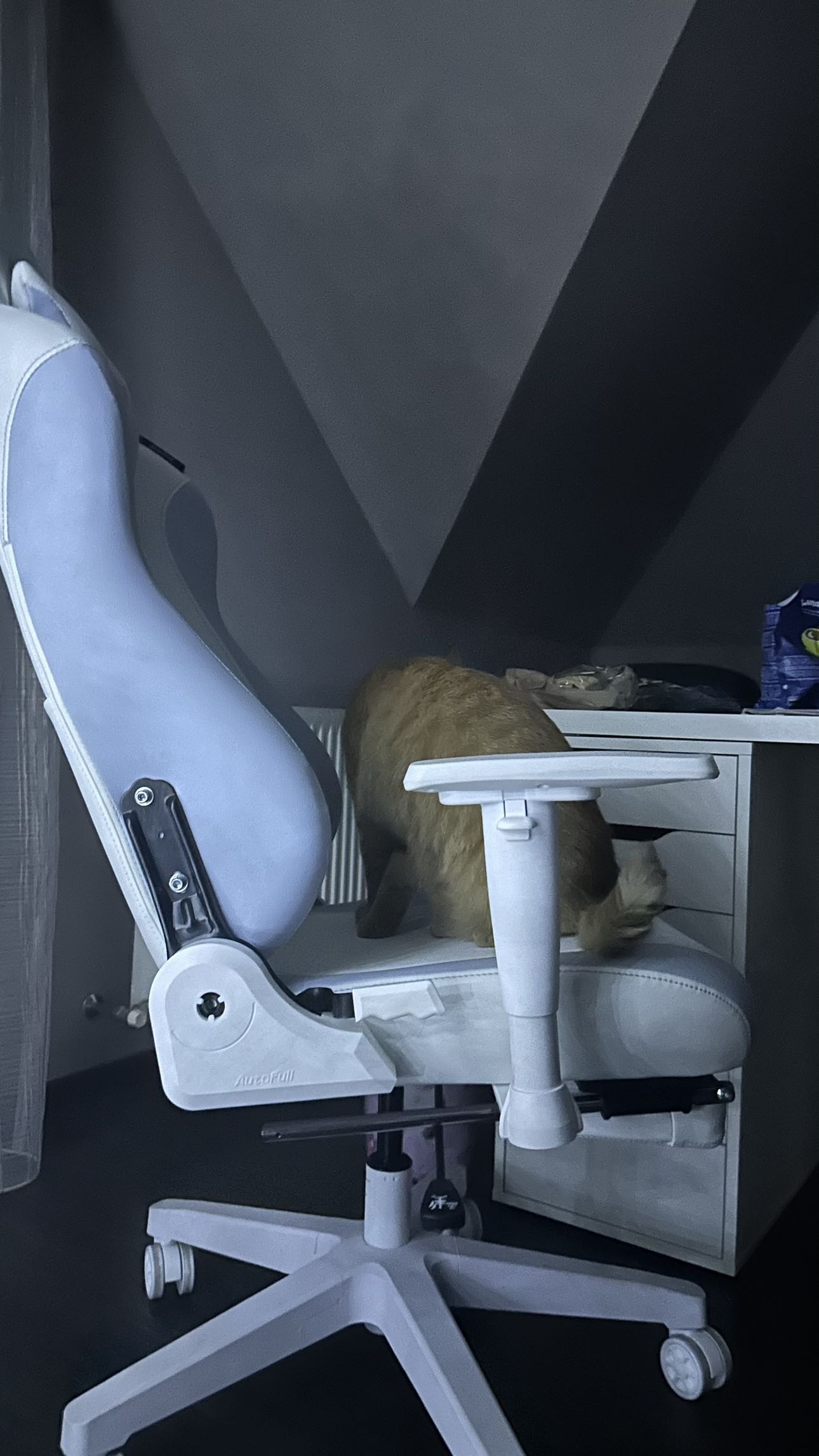 mira.0004 snapchat image archive image