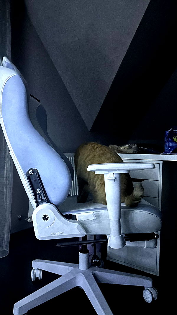 mira.0004 image ~ Altpins