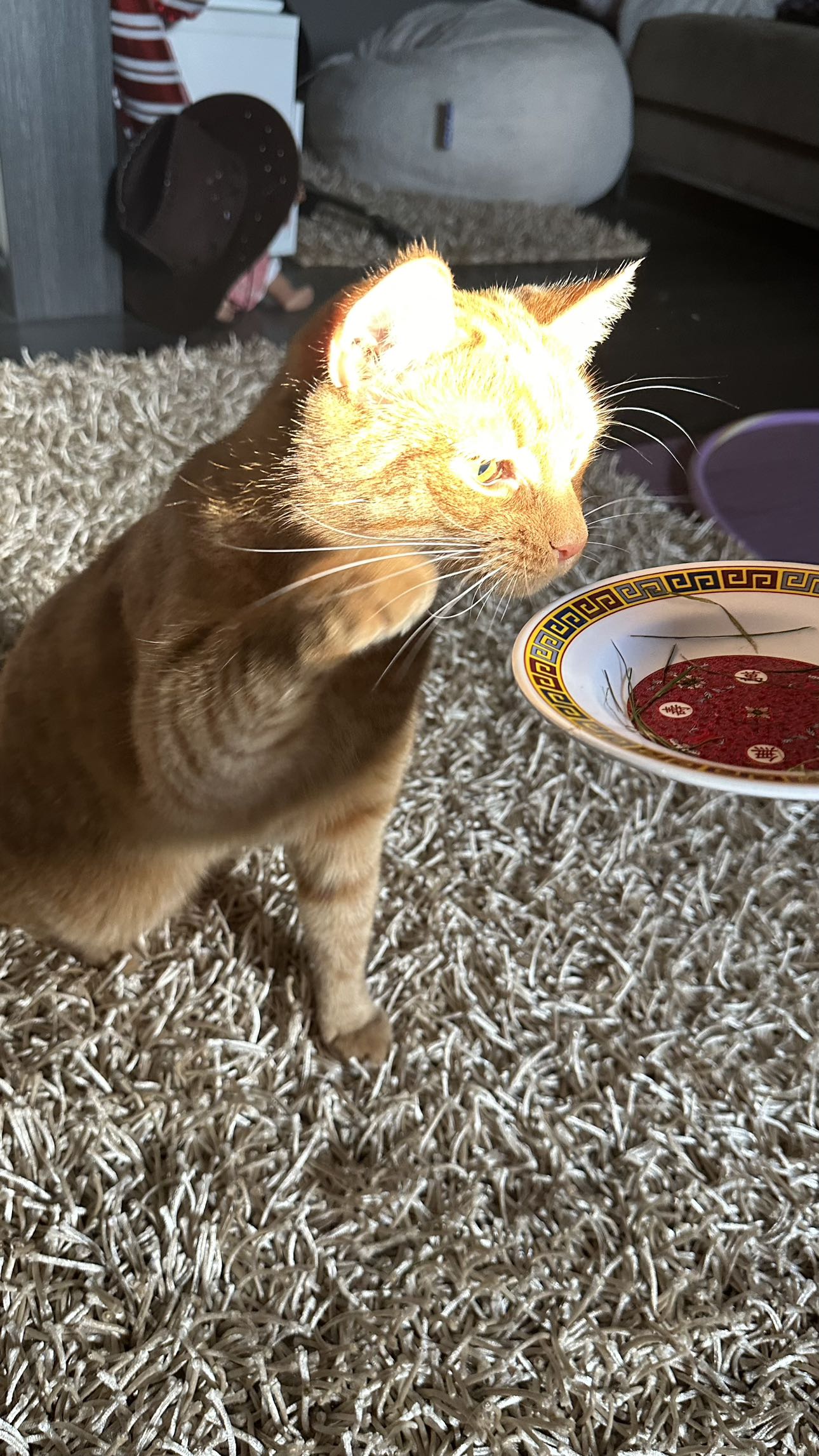 mira.0004 snapchat image archive image