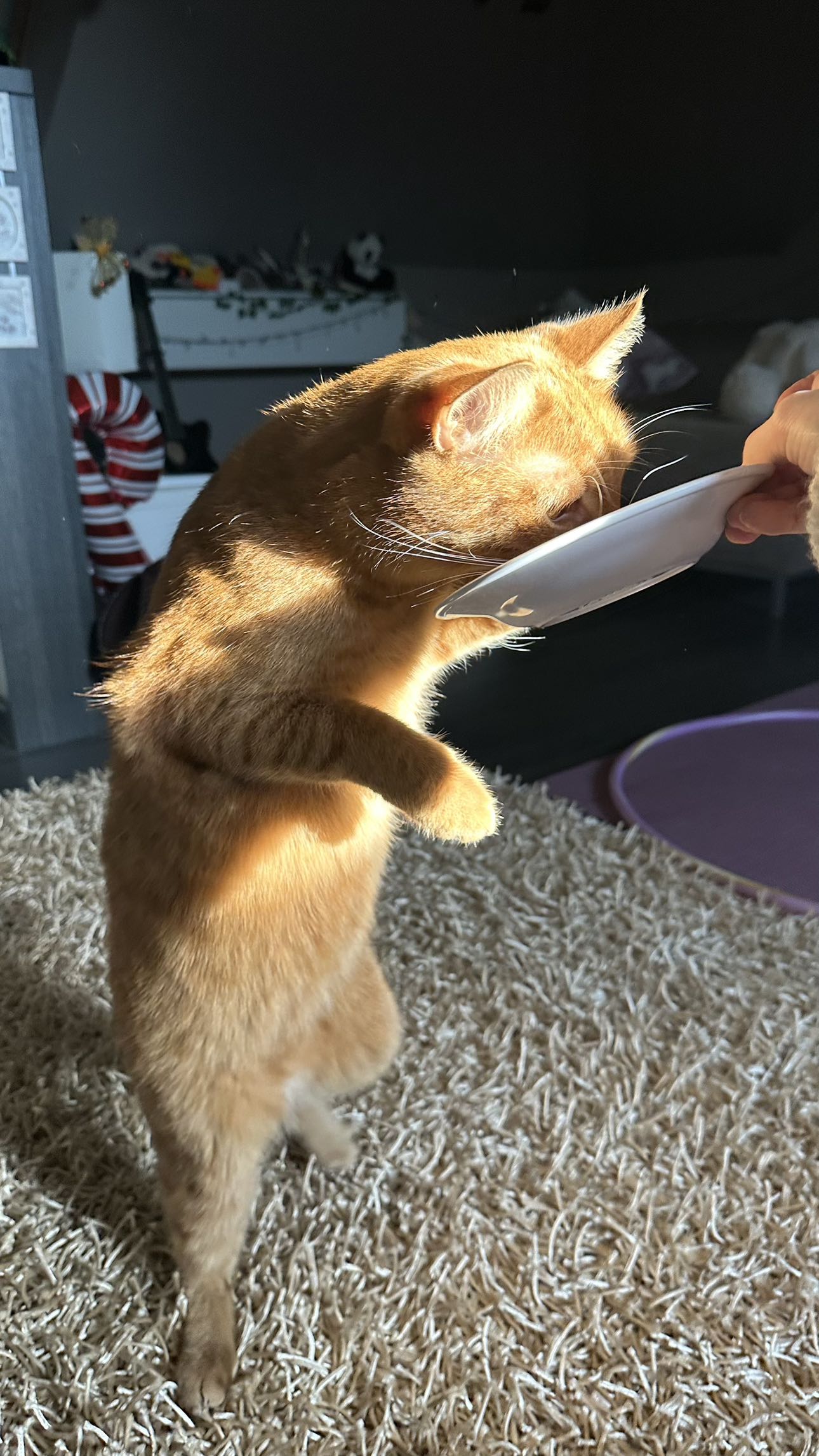 mira.0004 snapchat image archive image