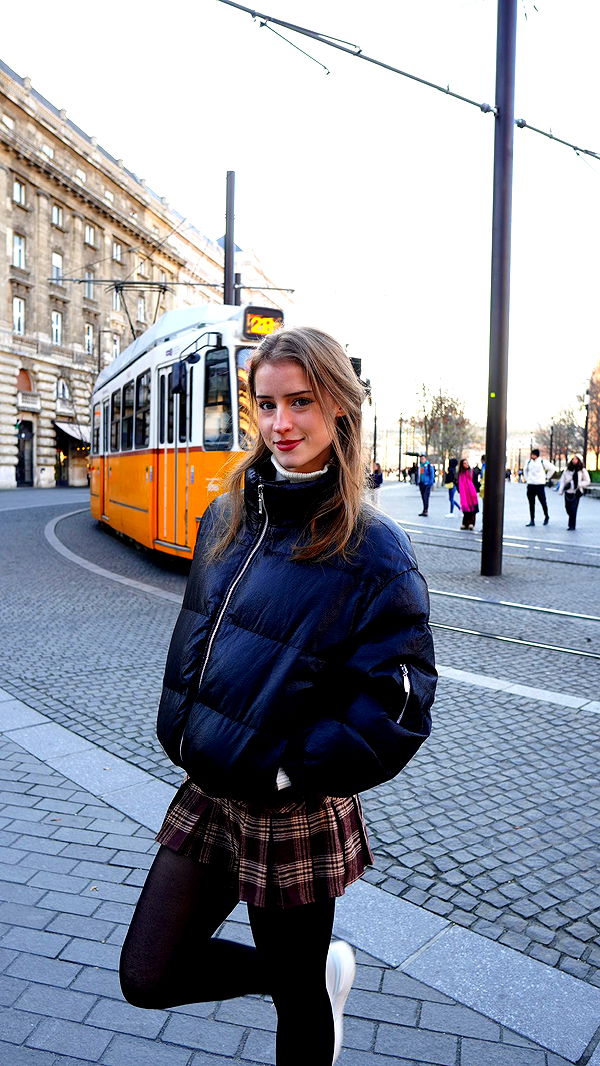 mira.0004 image ~ Altpins