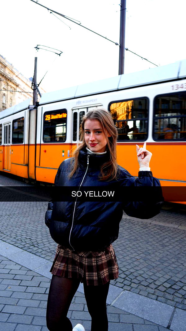 mira.0004 image ~ Altpins