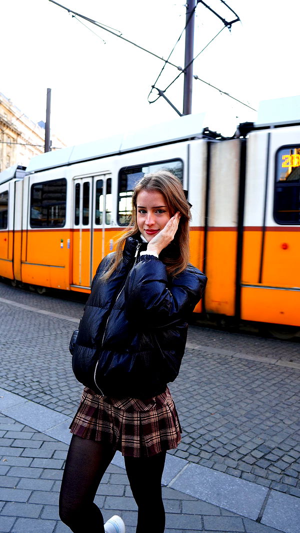 mira.0004 image ~ Altpins